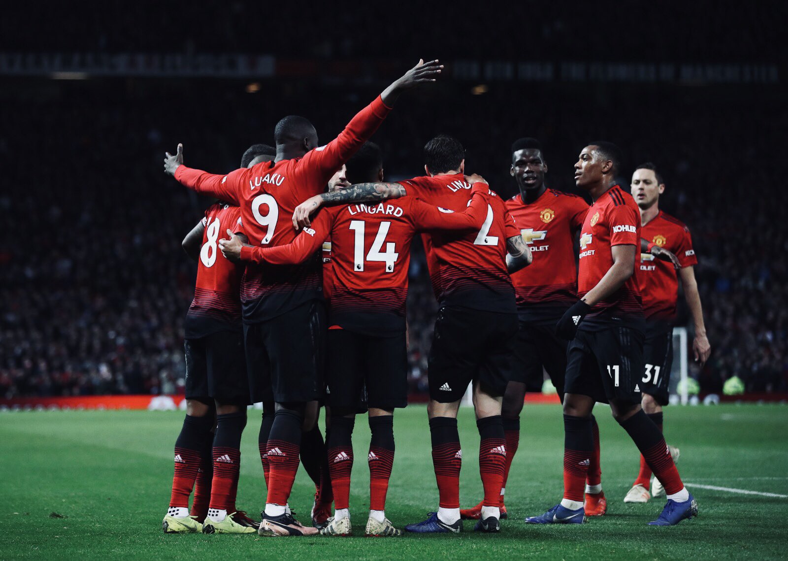 特卡洛大师 特卡洛大师